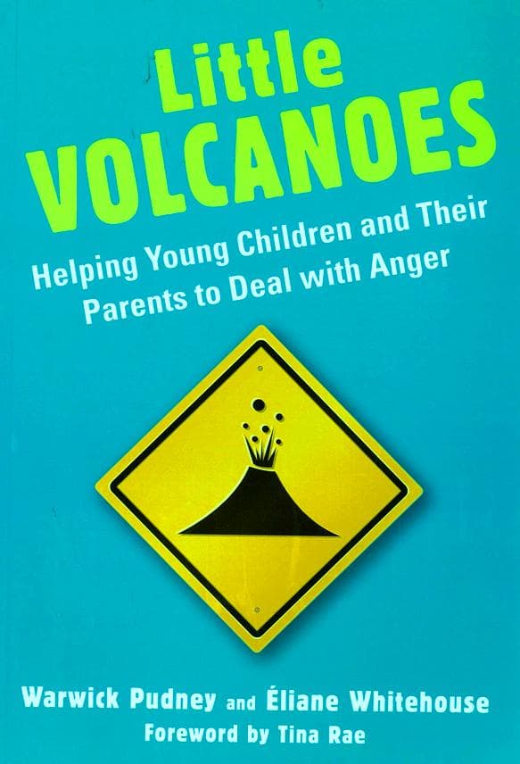 Cover image for Little volcanoes :