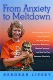 Cover image for From anxiety to meltdown